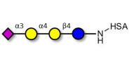 Sialylated globotriose...
