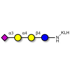 Sialylated globotriose grafted on KLH