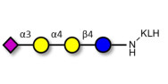 Sialylated globotriose...