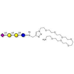 Sialylated globotriose with free terminal amine (Linker-NH2 C)