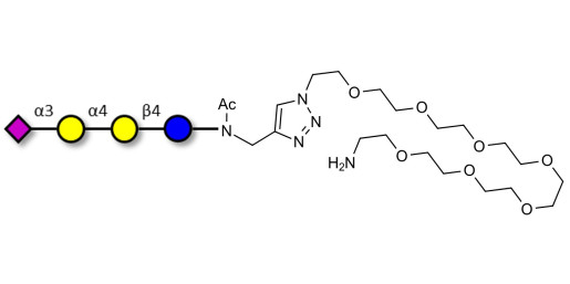 Sialylated globotriose with free terminal amine (Linker-NH2 C) - 3Sialyl-Gb3