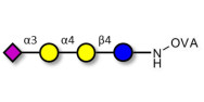 Sialylated globotriose...
