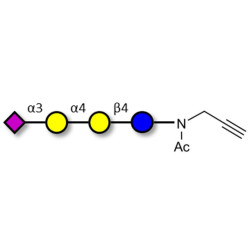 Sialylated globotriose with terminal alkyne (Linker-CΞCH A)