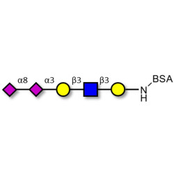Disialylated pentaose type 1 grafted on BSA