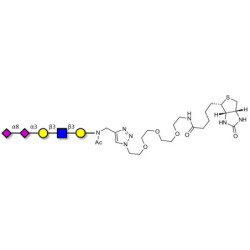 Disialylated pentaose type 1 linked to biotin (Linker-BT A)