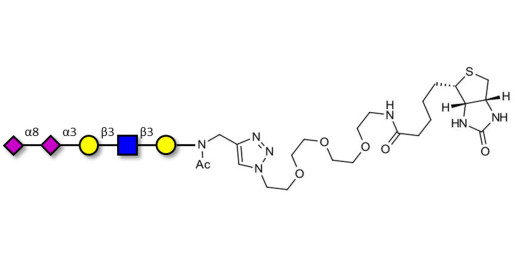 Disialylated pentaose type 1 linked to biotin (Linker-BT A)