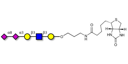 Disialylated pentaose type 1 linked to biotin (Linker-BT B)