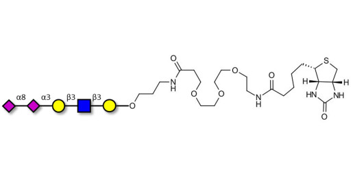Disialylated pentaose type 1 linked to biotin (Linker-BT C)
