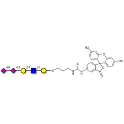 Disialylated pentaose type 1 linked to fluorescein (Linker-FLUO A)