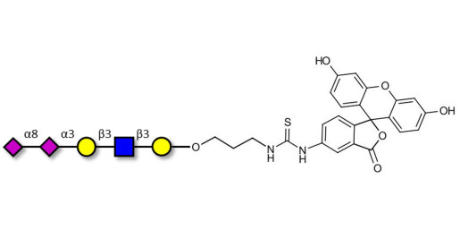 Disialylated pentaose type 1 linked to fluorescein (Linker-FLUO A)