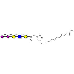 Disialylated pentaose type 1 grafted on gel for affinity chromatography (Linker-GEL A)