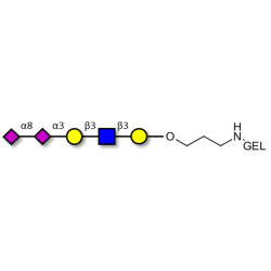 Disialylated pentaose type 1 grafted on gel for affinity chromatography (Linker-GEL B)