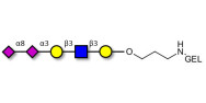 Disialylated pentaose type...