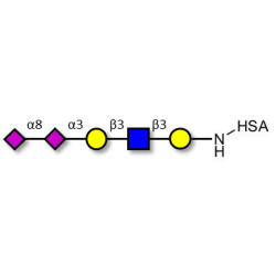 Disialylated pentaose type 1 grafted on HSA