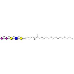 Disialylated pentaose type 1 with terminal azide (Linker-N3 A)
