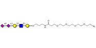 Disialylated pentaose type...