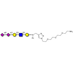 Disialylated pentaose type 1 with free terminal amine (Linker-NH2 B)