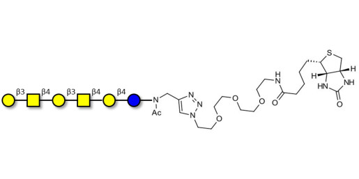 GalGalNAc-asialo GM1 Ganglioside oligosaccharide linked to biotin (Linker-BT A) - GalGalNac-aGM1