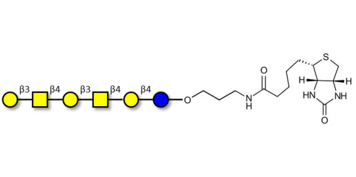 GalGalNAc-asialo GM1 Ganglioside oligosaccharide linked to biotin (Linker-BT B) - GalGalNac-aGM1