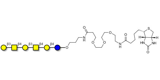 GalGalNAc-asialo GM1 Ganglioside oligosaccharide linked to biotin (Linker-BT C) - GalGalNac-aGM1