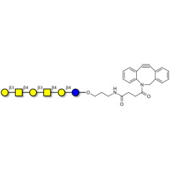 GalGalNAc-asialo GM1 Ganglioside oligosaccharide with DBCO (Linker-DBCO A)