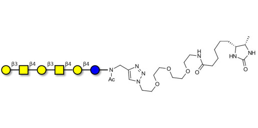 GalGalNAc-asialo GM1 Ganglioside oligosaccharide linked to desthiobiotin (Linker-DBT-A) - GalGalNac-aGM1