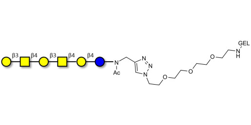 GalGalNAc-asialo GM1 Ganglioside oligosaccharide grafted on gel for affinity chromatography (Linker-GEL A) - GalGalNac-aGM1