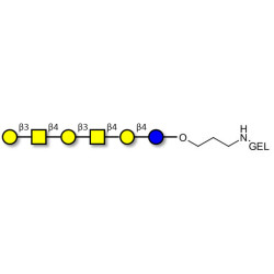 GalGalNAc-asialo GM1 Ganglioside oligosaccharide grafted on gel for affinity chromatography (Linker-GEL B)