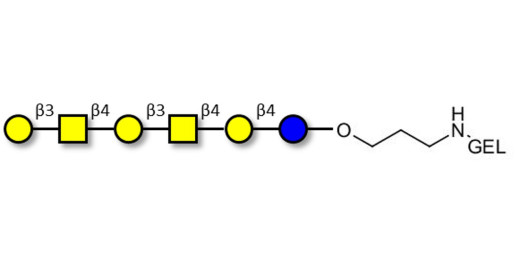 GalGalNAc-asialo GM1 Ganglioside oligosaccharide grafted on gel for affinity chromatography (Linker-GEL B) - GalGalNac-aGM1