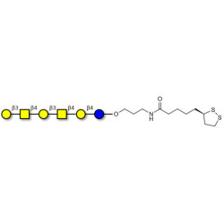 GalGalNAc-asialo GM1 Ganglioside oligosaccharide with cyclic di-thiol (Linker-LIPO A)