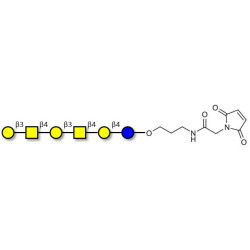 GalGalNAc-asialo GM1 Ganglioside oligosaccharide linked to maleimide (Linker-MAL A)
