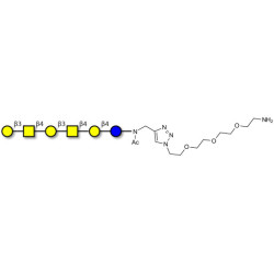 GalGalNAc-asialo GM1 Ganglioside oligosaccharide with free terminal amine (Linker-NH2 B)