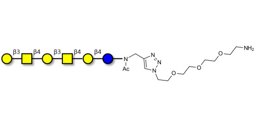 GalGalNAc-asialo GM1 Ganglioside oligosaccharide with free terminal amine (Linker-NH2 B) - GalGalNac-aGM1