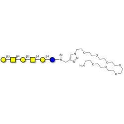 GalGalNAc-asialo GM1 Ganglioside oligosaccharide with free terminal amine (Linker-NH2 C)