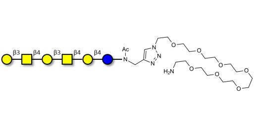 GalGalNAc-asialo GM1 Ganglioside oligosaccharide with free terminal amine (Linker-NH2 C) - GalGalNac-aGM1