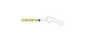 GalGalNAc-asialo GM1 Ganglioside oligosaccharide with free terminal amine (Linker-NH2 C) - GalGalNac-aGM1