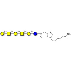 GalGalNAc-asialo GM1 Ganglioside oligosaccharide with free terminal amine (Linker-NH2 D)