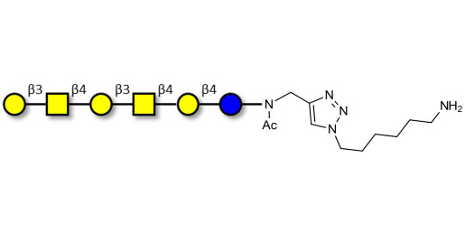 GalGalNAc-asialo GM1 Ganglioside oligosaccharide with free terminal amine (Linker-NH2 D) - GalGalNac-aGM1