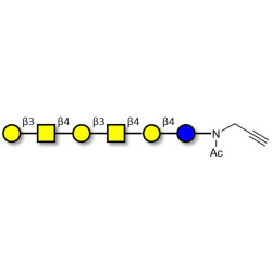 GalGalNAc-asialo GM1 Ganglioside oligosaccharide with terminal alkyne (Linker-CΞCH A)