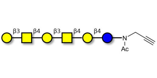GalGalNAc-asialo GM1 Ganglioside oligosaccharide with terminal alkyne (Linker-CΞCH A) - GalGalNac-aGM1