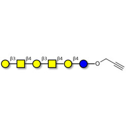 GalGalNAc-asialo GM1 Ganglioside oligosaccharide with terminal alkyne (Linker-CΞCH B)