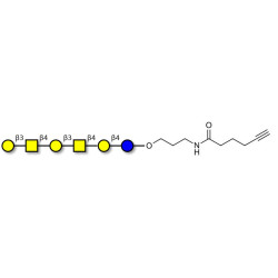 GalGalNAc-asialo GM1 Ganglioside oligosaccharide with terminal alkyne (Linker-CΞCH C)