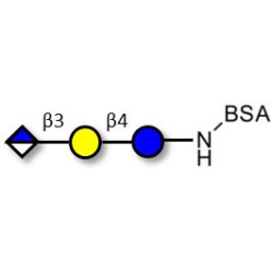 Glucuronyl-lactose grafted on BSA