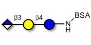 Glucuronyl-lactose grafted...