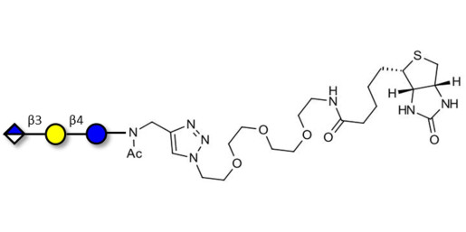 Glucuronyl-lactose linked to biotin (Linker-BT A) - HNK 1 epitope precursor