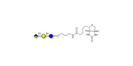 Glucuronyl-lactose linked...