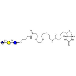 Glucuronyl-lactose linked to biotin (Linker-BT C)