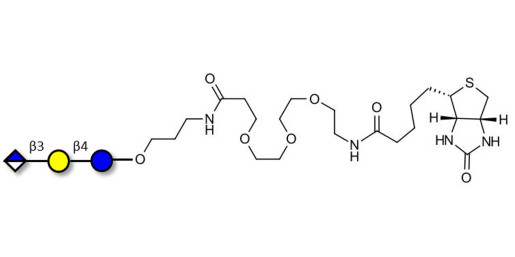Glucuronyl-lactose linked to biotin (Linker-BT C) - HNK 1 epitope precursor