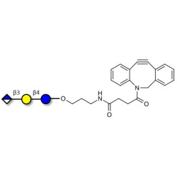 Glucuronyl-lactose with DBCO (Linker-DBCO A)