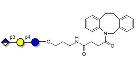 Glucuronyl-lactose with DBCO (Linker-DBCO A) - HNK 1 epitope precursor